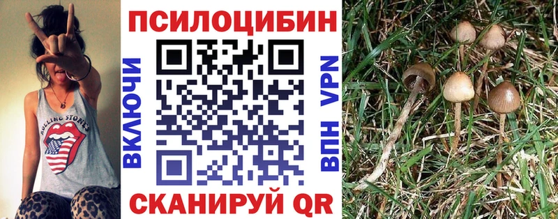 Купить закладки  Подольск  Псилоцибиновые грибы мухоморы 