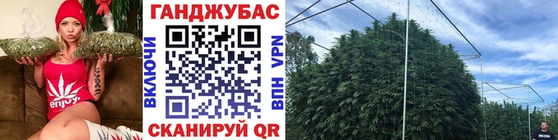 Марихуана White Widow Подольск